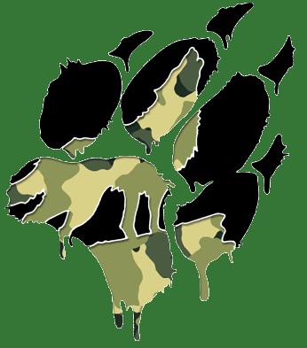 Wolfpack WPT Logo